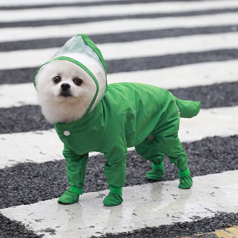 Dog raincoat with hood